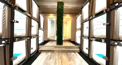 Lavid Hotel Kennedy
