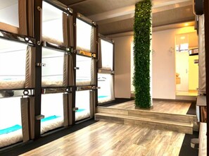 Ropa de cama hipoalergénica y wifi gratis 