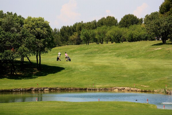 Golf - LE SOLEILLANT Provençal house with swimming pool, Private garden,PK,pets allowed (L'Isle-sur-la-Sorgue)