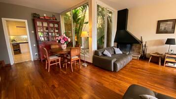 TV, fireplace, DVD player, books