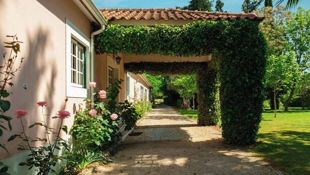 A pathway leading to a building with a tiled roof and a covered area with greenery. - Casa da Avó Genoveva (Tomar)