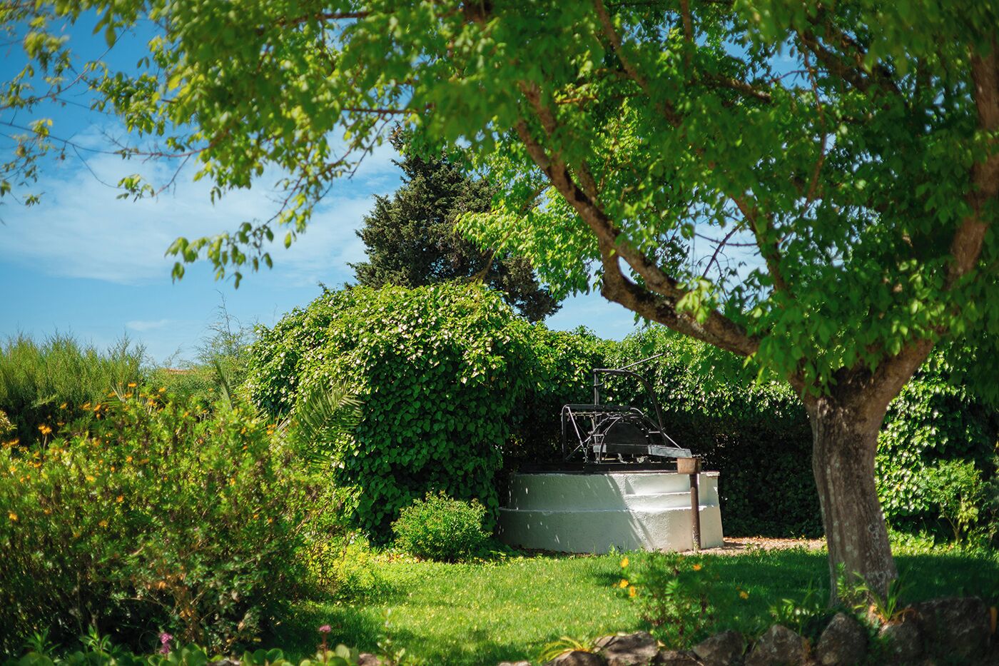 Ein Garten mit einem grünen Gartenhaus, einem Baum und verschiedenen Pflanzen.