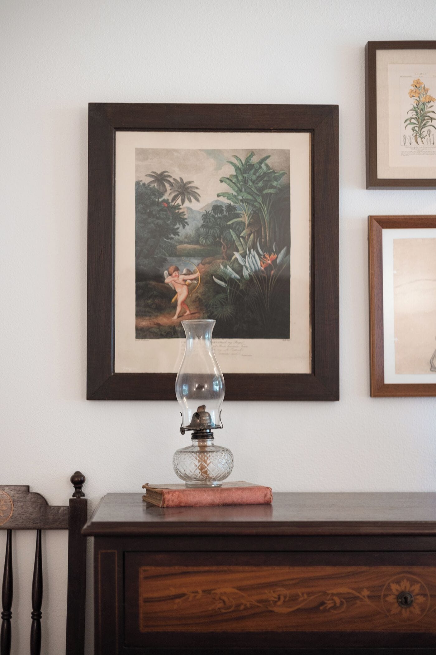 Uma ilustração botânica emoldurada na parede, um vaso de vidro transparente com um objeto decorativo sobre uma mesa de madeira e uma moldura com uma imagem à direita.