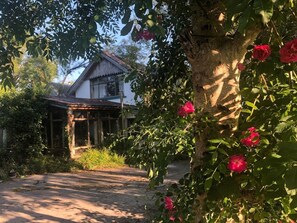 House, Multiple Beds | Exterior - Unique Fairytale Farmhouse Near Galway (Corrandulla)