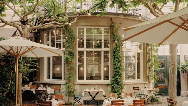 Un área de comedor al aire libre con mesas dispuestas para una comida, rodeada de follaje y árboles.
