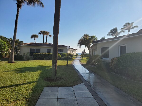 A residential area with a paved walkway, palm trees, and houses with a tiled roof.