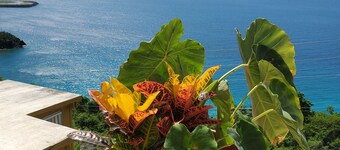 Amazing views, relax far away from snow. Fantasy Vacation Planning Available.