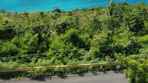 A coastal road with a clear view of the ocean and lush greenery. - Amazing views, relax far away from snow. Fantasy Vacation Planning Available. (St. Thomas)