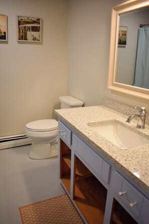 Combined shower/bathtub, hair dryer