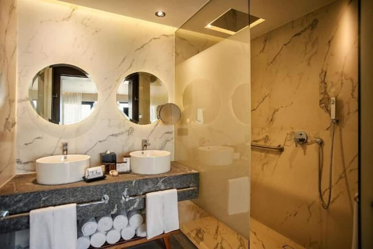 Shower, free toiletries, hair dryer, towels