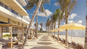 Un hôtel situé en bord de mer, doté d’une terrasse, de palmiers et offrant une vue sur l’océan.