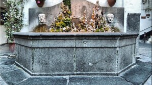 Una fuente de piedra con dos caras, rodeada de plantas y flores.