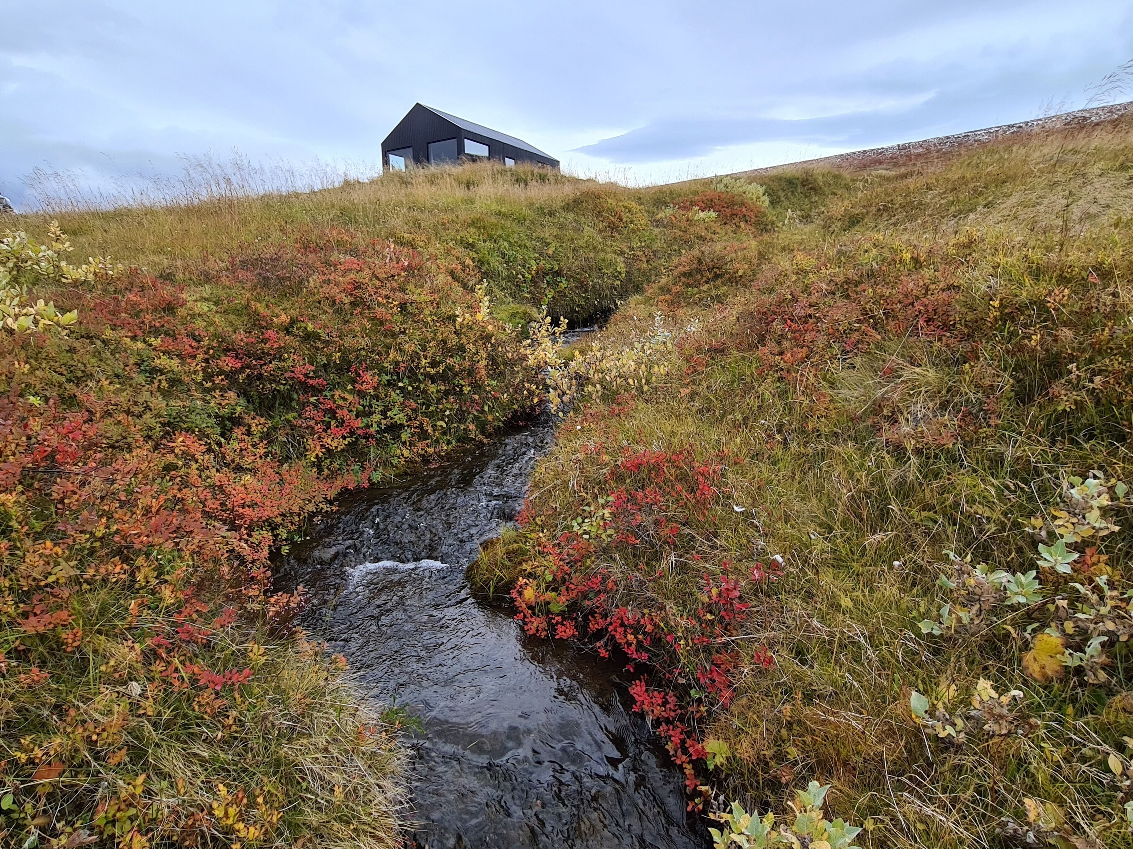 Un edificio moderno en una colina con un arroyo que atraviesa un paisaje colorido.