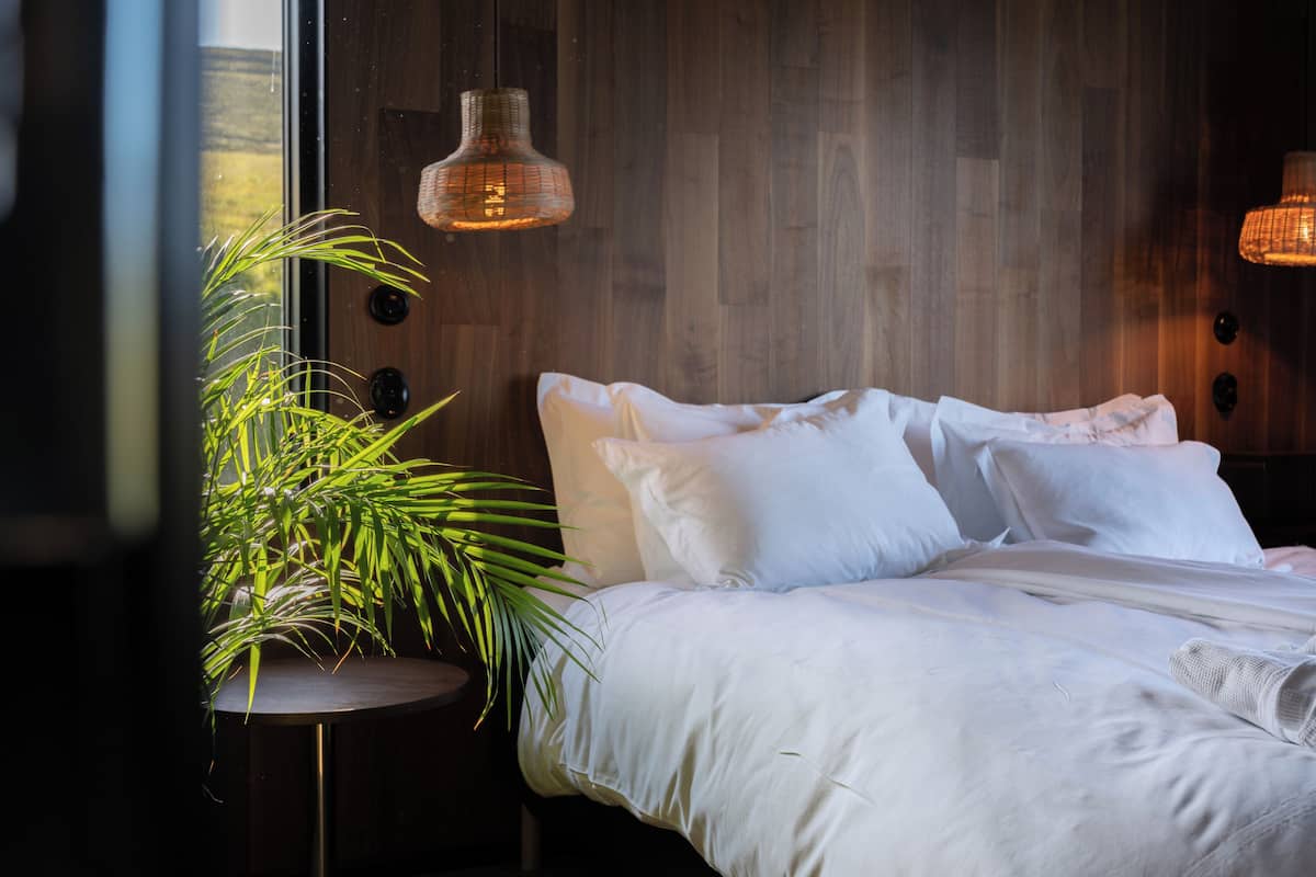A bedroom with a wooden wall, a bed with white bedding, two hanging lights, and a potted plant.