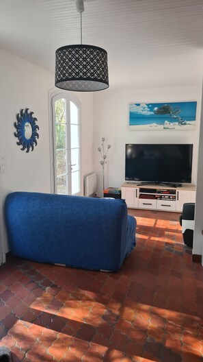 Televisión, reproductor de DVD y libros 