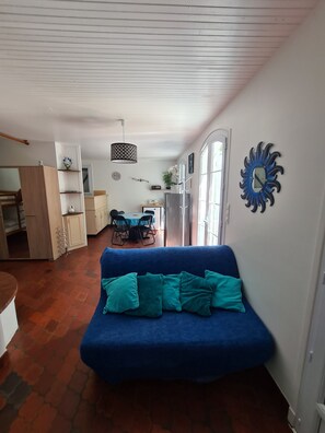 Televisión, reproductor de DVD y libros 