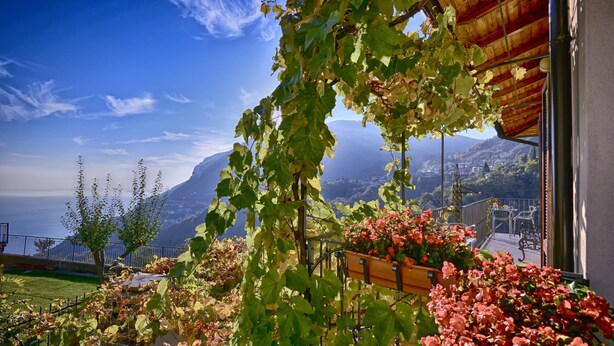 Un balcón con vistas a un paisaje montañoso, una pérgola cubierta de hiedra y una jardinera de madera con flores.