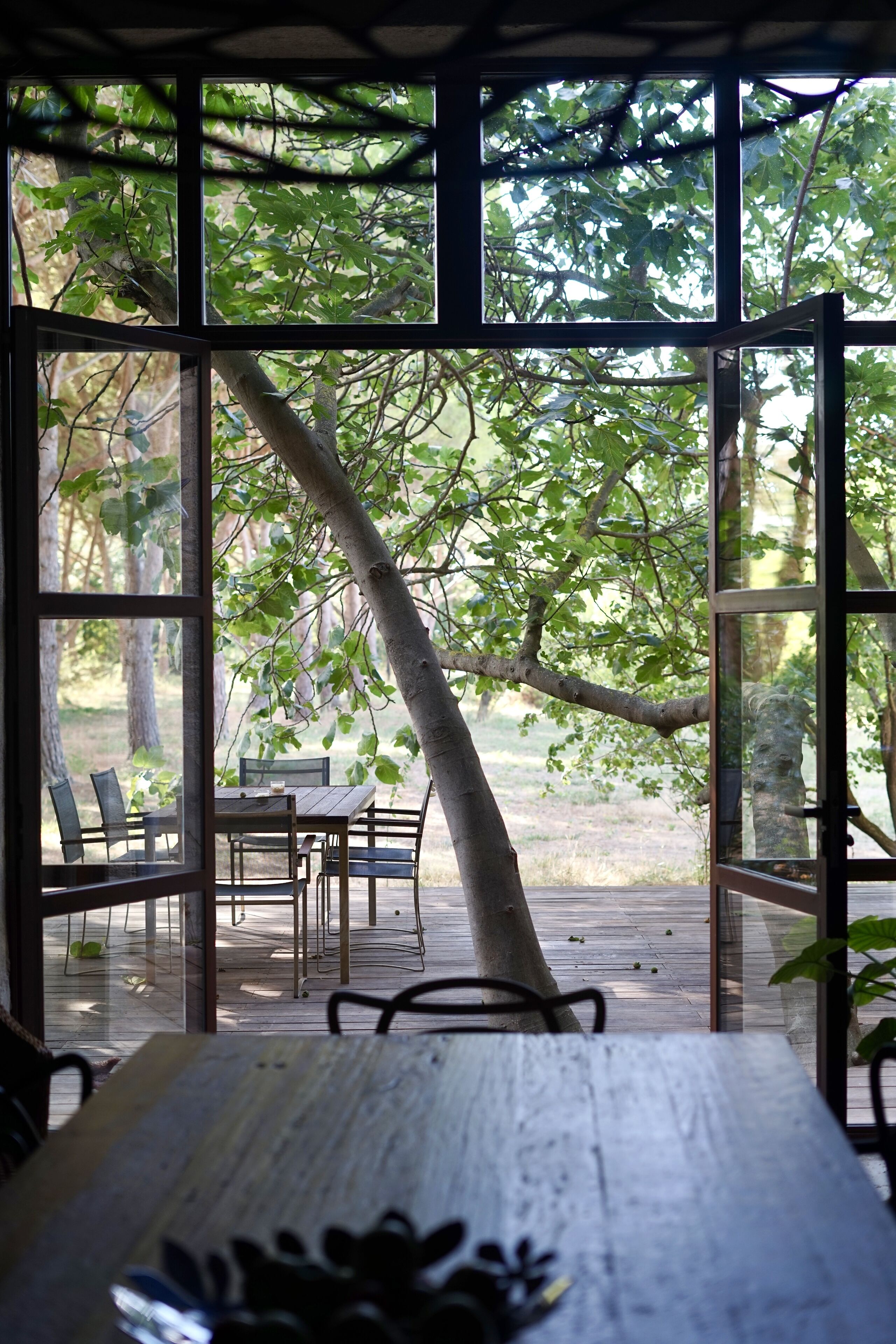 Foto - WAYA à Domaine Saint Domingue