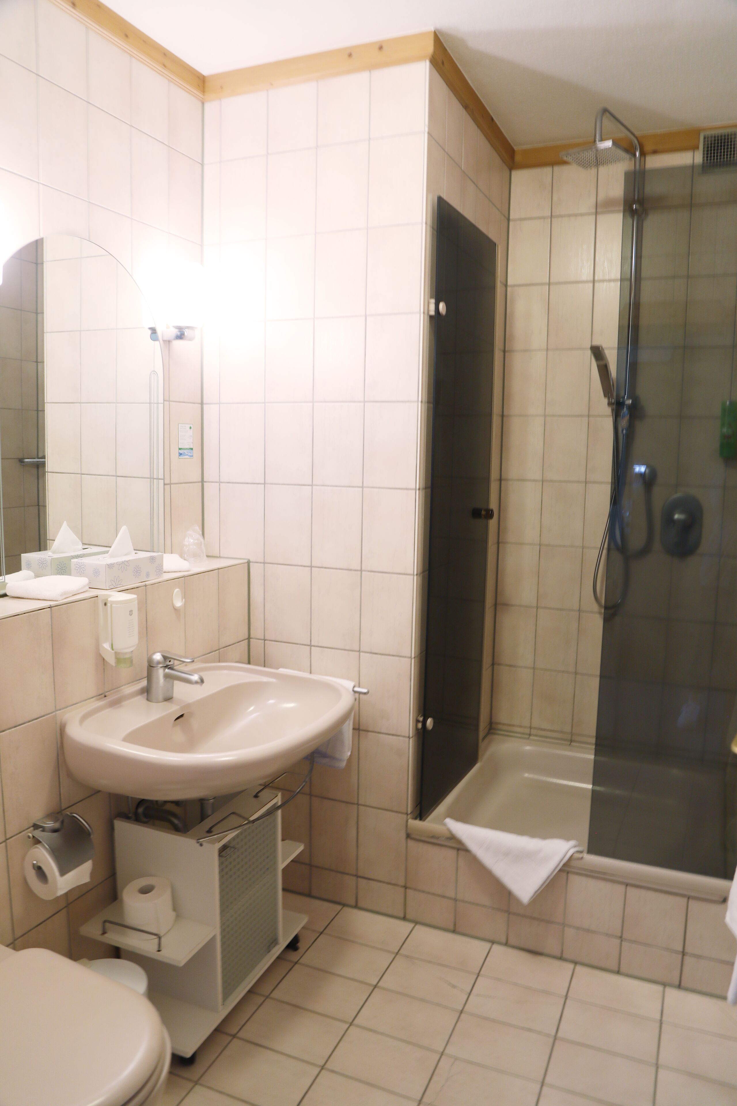 A bathroom with a sink, mirror, toilet, and a glass-enclosed shower area.