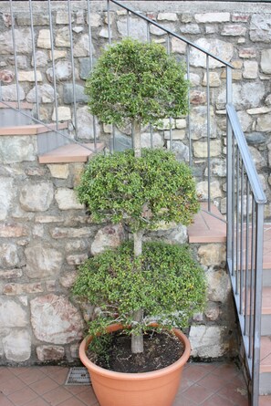 Property grounds - Tosca - Theater Home, with panoramic view and two parking spaces (Tignale)