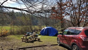 Property grounds - Campsite #3! Tent camping near Dupont State Forest! (Penrose)