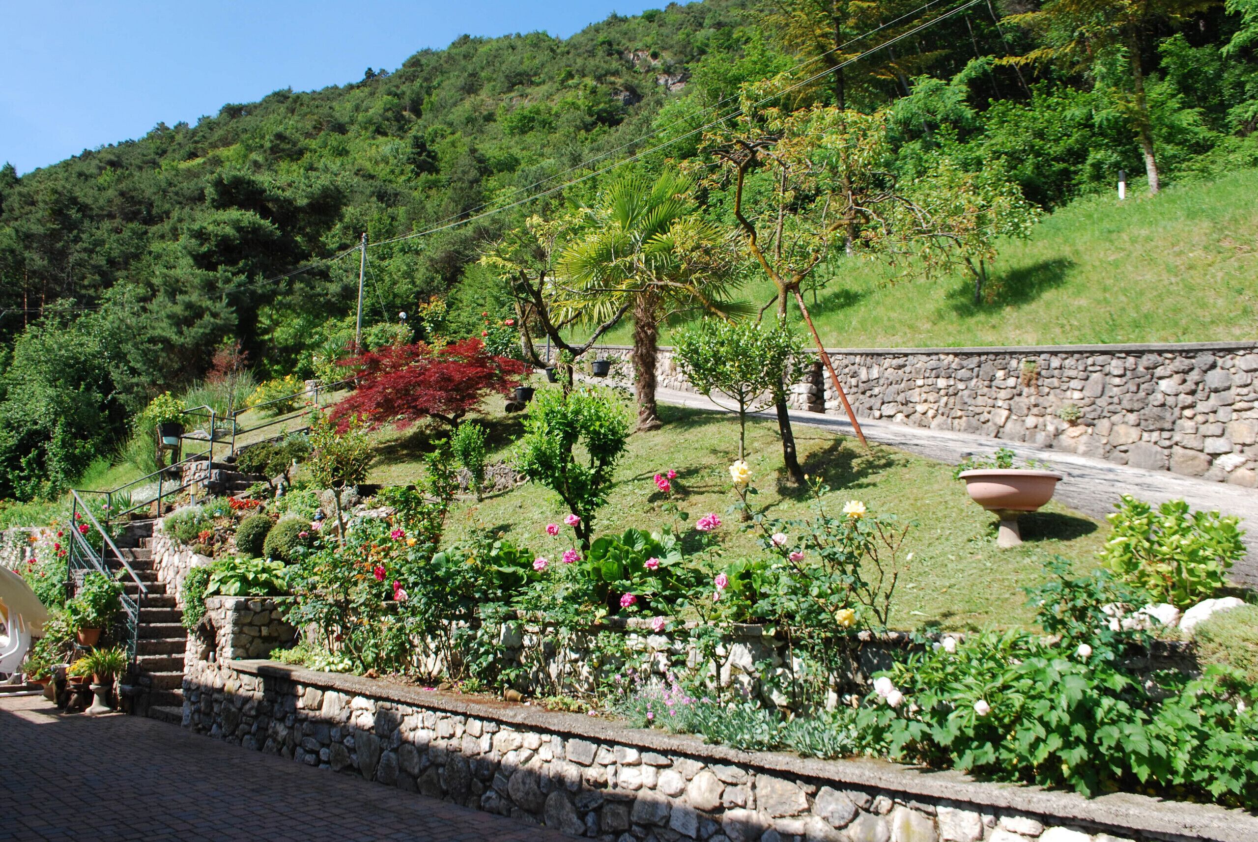 Área da propriedade