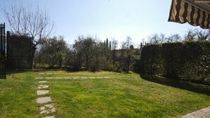 Ein gepflegter Garten mit einem gepflasterten Weg.