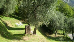 Un espace herbeux avec un arbre, une structure en bois et une chaise.