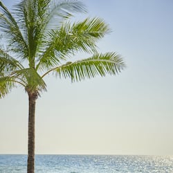 Privatstrand, kostenloser Shuttle zum Strand, Cabañas (kostenlos)