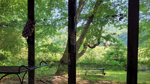 Una mesa de picnic y un banco en un área exterior cercada, con árboles y una estructura de madera.