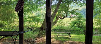 "Coop-Ahhh Cabana" ! "Glammock" campsite near Dupont State Forest!