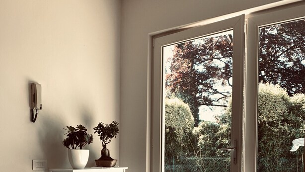 Une pièce avec un plancher en bois, une étagère blanche où sont disposées des plantes en pot, un tapis à rayures et une porte-fenêtre coulissante donnant sur un espace extérieur où se trouve un chien.