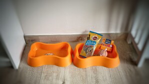 Deux gamelles orange pour animaux de compagnie sont posées sur un plancher en bois, avec un mur blanc en arrière-plan.