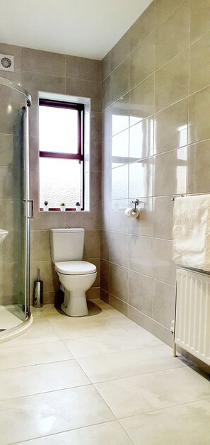 Shower, hair dryer, towels, toilet paper - Riverside Marina Apt (Lanesboro)