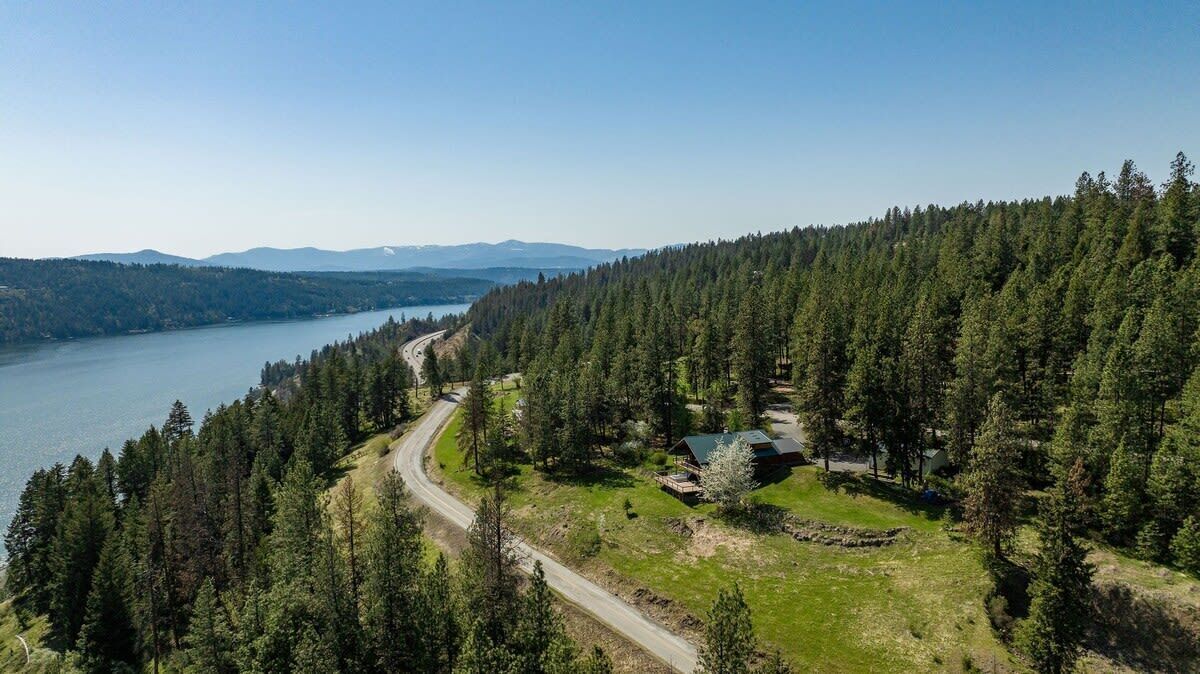 A forested area with a cabin and a road curving through it.