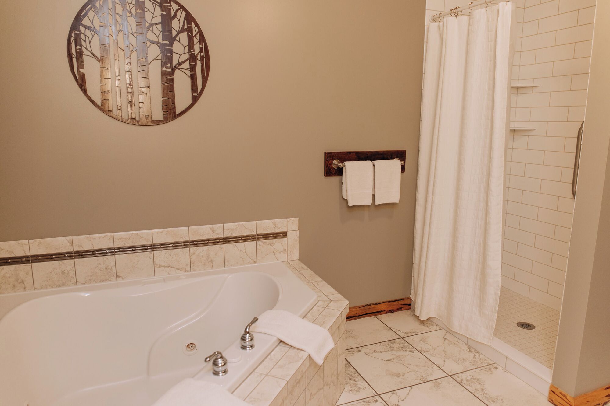 Shower, jetted tub, hair dryer, towels