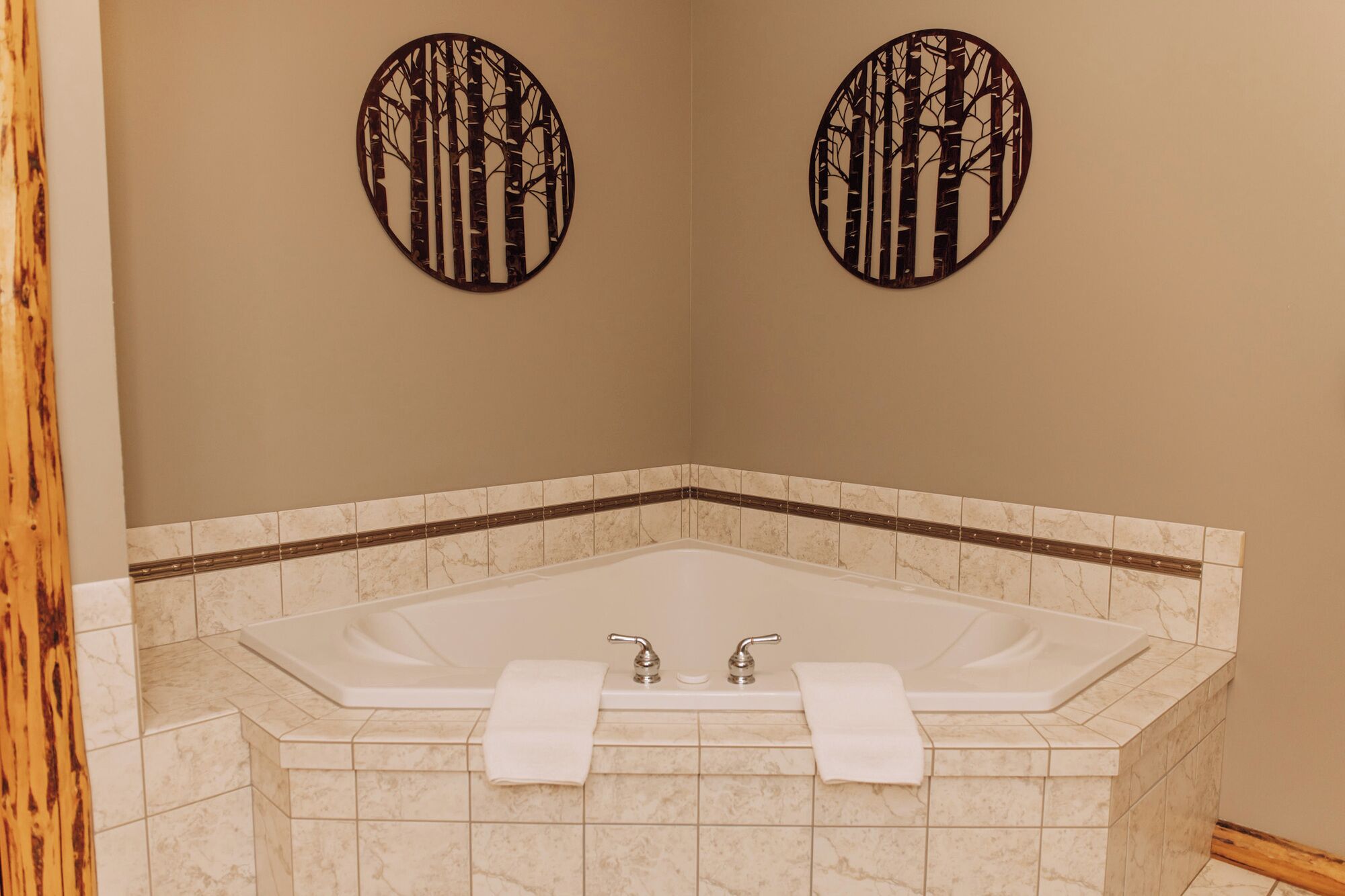 Shower, jetted tub, hair dryer, towels