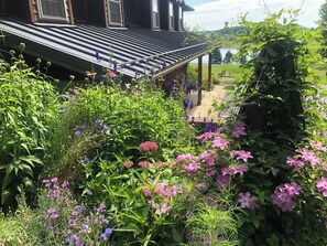 Boendeområde