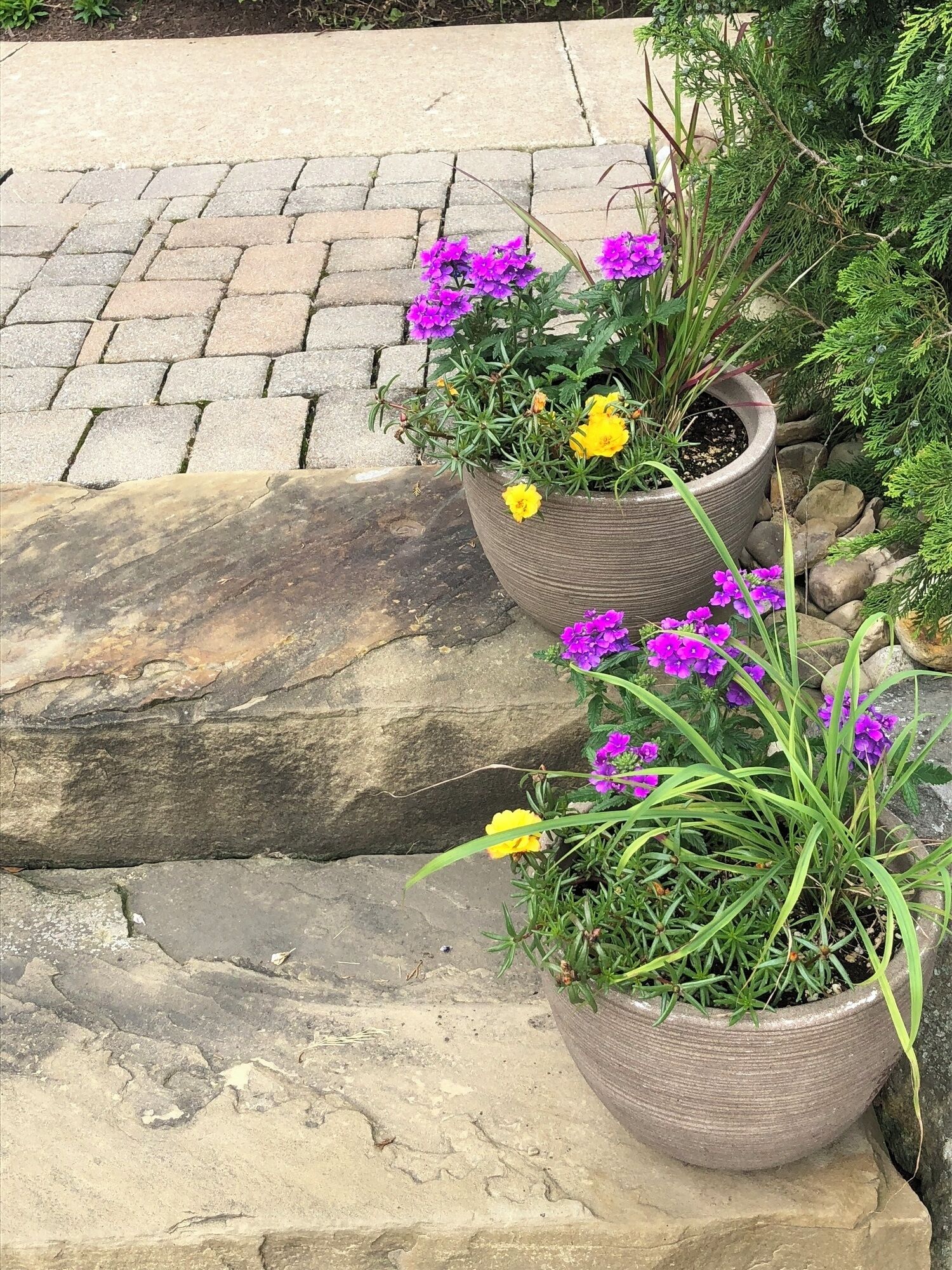 Two potted plants with purple and yellow flowers on a stone ledge.