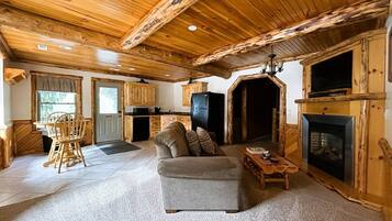 TV, fireplace, DVD player, video library