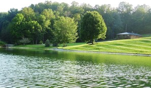 Property grounds - In the Woods Cabin Suite: Luxurious Cabin Suite in Amish Country, Ohio. (Dundee)