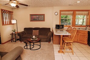 TV, fireplace, DVD player