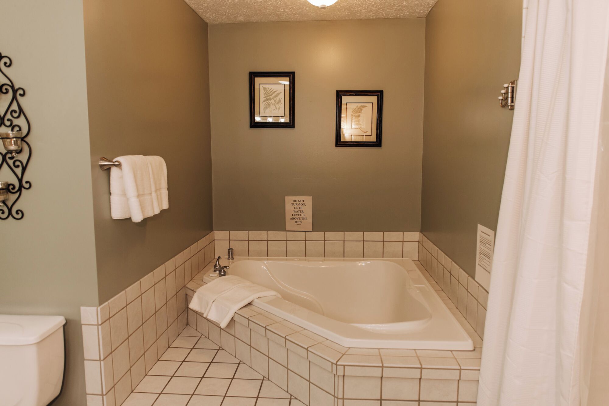 Shower, jetted tub, hair dryer, towels