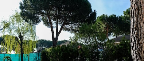 Parco della struttura
