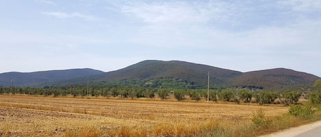 Sekalaista