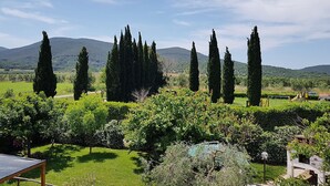 Un giardino con alti cipressi, una zona erbosa e una montagna sullo sfondo.