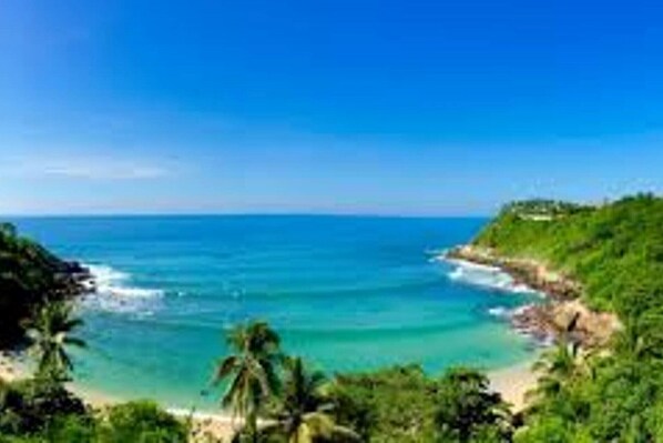 Enjoy breathtaking ocean views from this serene beachside setting surrounded by lush greenery and a rocky shoreline.