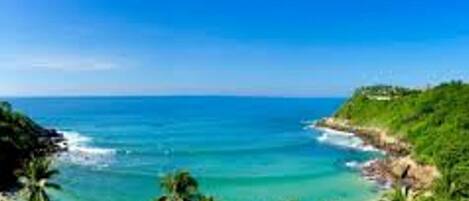 Escape to a serene coastal haven with a sandy beach and lush greenery.