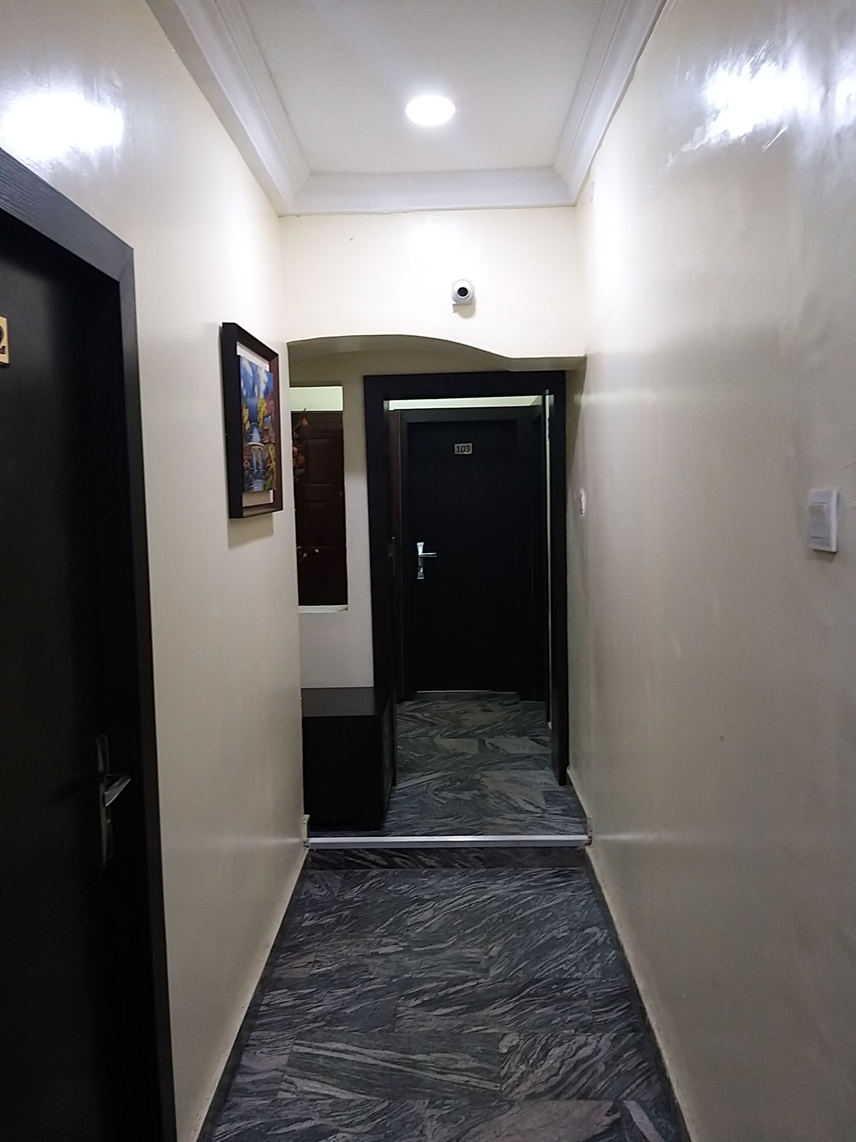 Um corredor estreito com uma porta escura à esquerda, um quadro pendurado na parede e uma porta com a inscrição '103' no final.