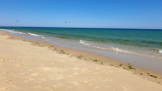 A beach with clear blue water, sandy shore, and footprints.